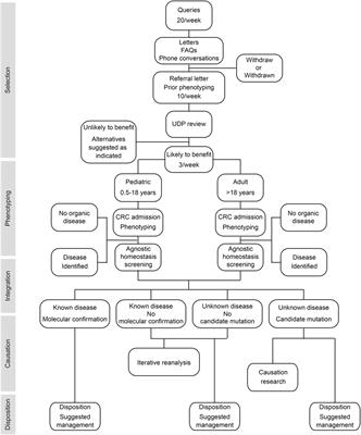 Defining Disease, Diagnosis, and Translational Medicine within a Homeostatic Perturbation Paradigm: The National Institutes of Health Undiagnosed Diseases Program Experience